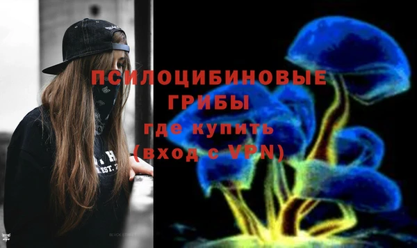 скорость Белокуриха