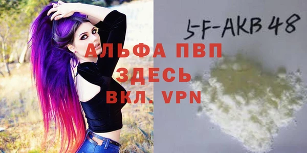 PSILOCYBIN Строитель