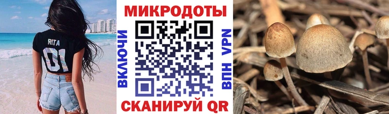 Галлюциногенные грибы мухоморы  blacksprut ONION  Высоцк  купить наркотик 